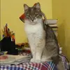 Отзыв от Лера Фролова